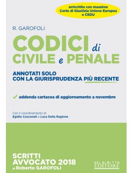 CODICI CIVILE PENALE ANNOTATI CON LA GIU