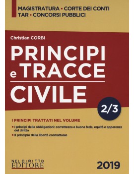 PRINCIPI E TRACCE CIVILE 2/3 2019