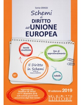 SCHEMI DI DIRITTO DELL'UNIONE EUROPEA