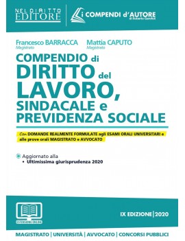 COMPENDIO DI DIRITTO DEL LAVORO SIN