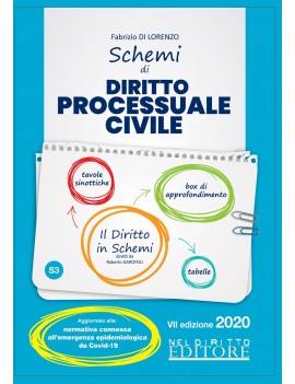 SCHEMI DI DIRITTO PROCESSUALE CIVILE