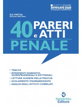 40 PARERI E ATTI PENALE