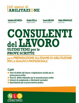 CONSULENTE DEL LAVORO