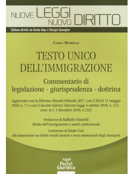 TESTO UNICO DELL'IMMIGRAZIONE