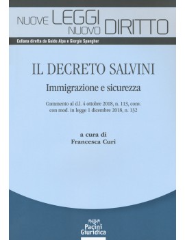 DECRETO SALVINI SU IMMIGRAZIONE E SICURE