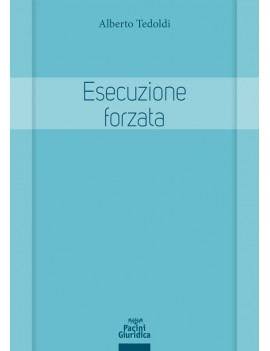 ESECUZIONE FORZATA