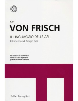 LINGUAGGIO DELLE API (IL)