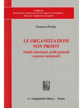 ORGANIZZAZIONI NON PROFIT