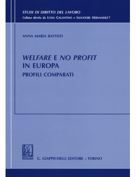 WELFARE E NO PROFIT IN EUROPA