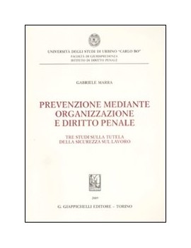 PREVENZIONE MEDIANTE ORGANIZZAZIONE