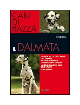 DALMATA (IL)