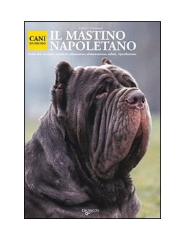 MASTINO NAPOLETANO (IL)