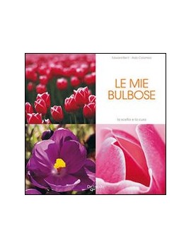 MIEI TULIPANI E BULBOSE (I)