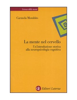 LA MENTE NEL CERVELLO