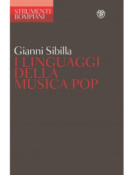 I LINGUAGGI DELLA MUSICA POP