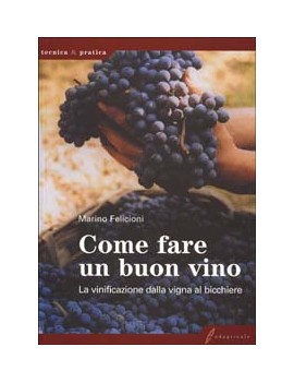 COME FARE UN BUON VINO