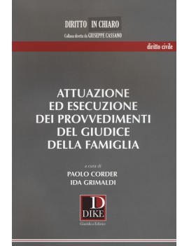 ATTUAZIONE ESECUZIONE PROVVEDIMENTI DEL