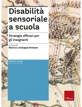 DISABILITÀ SENSORIALE A SCUOLA. STRATEGI