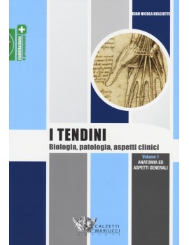 TENDINI 1 anatomia ed aspetti generali