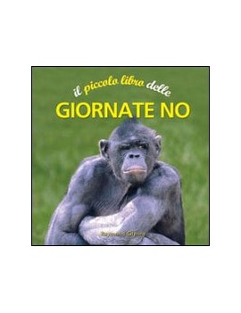 PICCOLO LIBRO DELLE GIORNATE NO (IL)