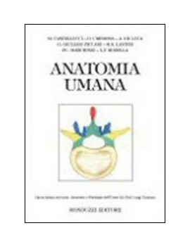 ANATOMIA UMANA