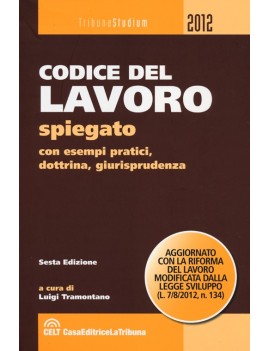 CODICE DEL LAVORO SPIEGATO