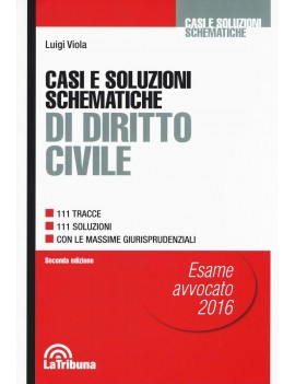 CASI E SOLUZIONI SCHEMATICHE DIRITTO CIV