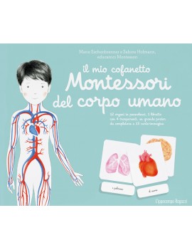 MIO COFANETTO MONTESSORI DEL CORPO UMANO