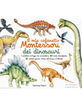 MIO COFANETTO MONTESSORI DEI DINOSAURI.