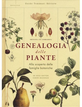 GENEALOGIA DELLE PIANTE