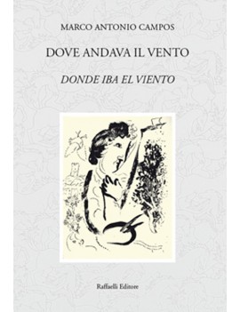 DOVE ANDAVA IL VENTO