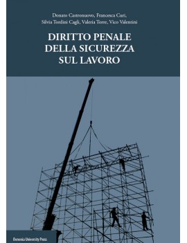 VE DIRITTO PENALE DELLA SICUREZZA DEL LA