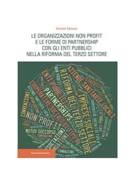 ORGANIZZAZIONI NON PROFIT E PARTNERSHIP