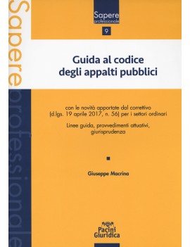 GUIDA AL CODICE DEGLI APPALTI PUBBLICI