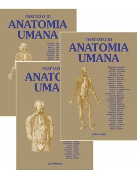 TRATTATO DI ANATOMIA UMANA vol 1 2 3