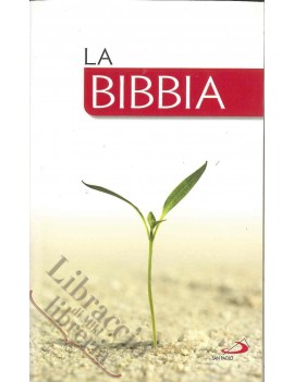 BIBBIA