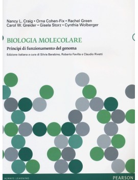 BIOLOGIA MOLECOLARE. PRINCIPI DI FUNZION