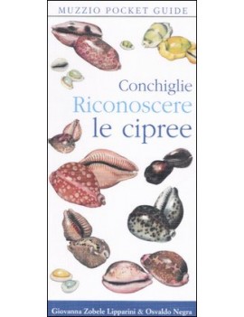 CONCHIGLIE. RICONOSCERE LE CIPREE