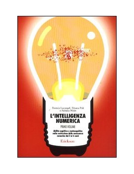 INTELLIGENZA NUMERICA 1