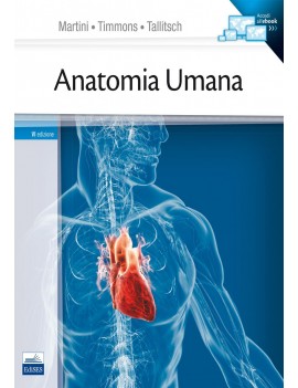 VE ANATOMIA UMANA