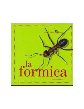 FORMICA (LA)