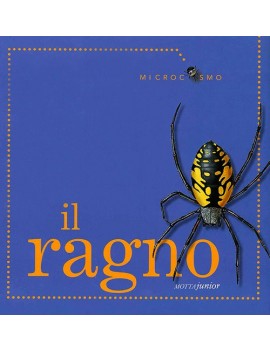 RAGNO (IL)