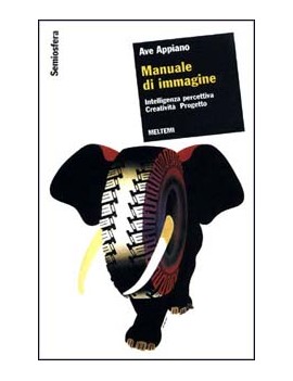 MANUALE DI IMMAGINE