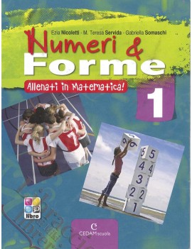 NUMERI E FORME 1