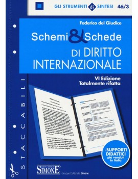 SCHEMI E SCHEDE DI DIRITTO INTERNAZIONAL