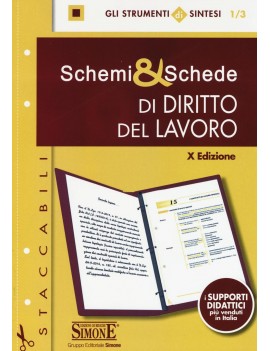 SCHEMI & SCHEDE DI DIRITTO DEL LAVORO