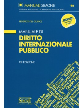 DIRITTO INTERNAZIONALE PUBBLICO MANUALE