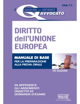 DIRITTO UNIONE EUROPEA 54A/11