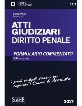 ATTI GIUDIZIARI DIRITTO PENALE