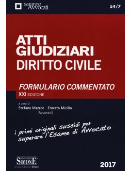 ATTI GIUDIZIARI DIRITTO CIVILE 2017